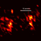 High-acuity vision in the fovea and fine oculomotor behavior