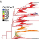 Computational modeling and tool development for understanding human immune responses to influenza