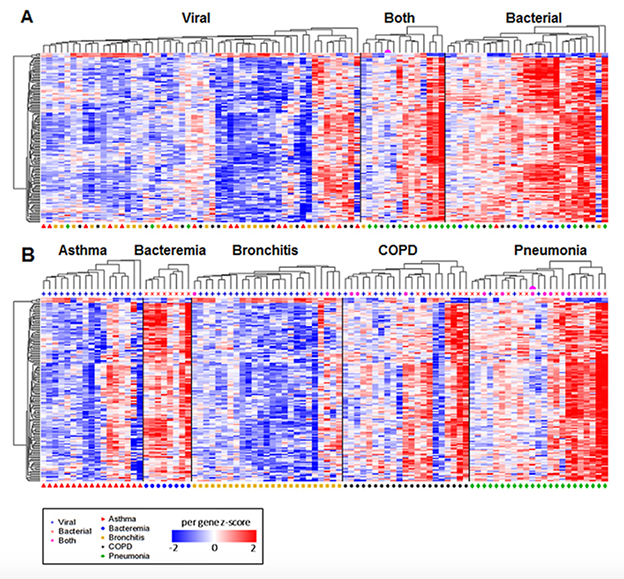 Figure 1 A and B: Differential gene expression