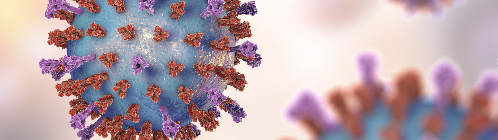 Respiratory syncytial virus (RSV), 3D illustration which shows two types of viral surface spikes