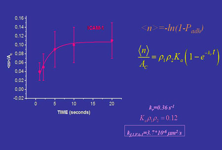 Graph of results