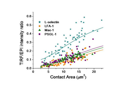 Graph of EPI intensity ratio