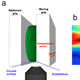 Structure-Function Relationships in the Cornea