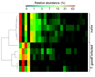 graph of mucosal response to toxoplasma