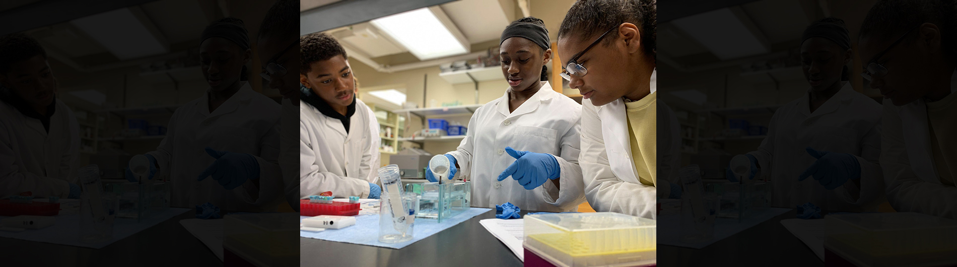 Hands-on science in our fully equipped laboratories