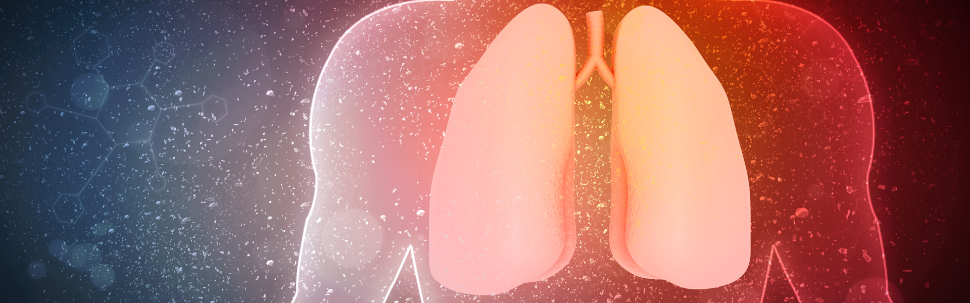 Lung Biology Program Photo 1