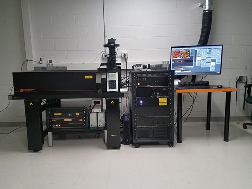 Abberior STED Super-Resolution