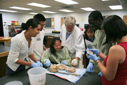 Photo of Kerry O'Banion teaching students