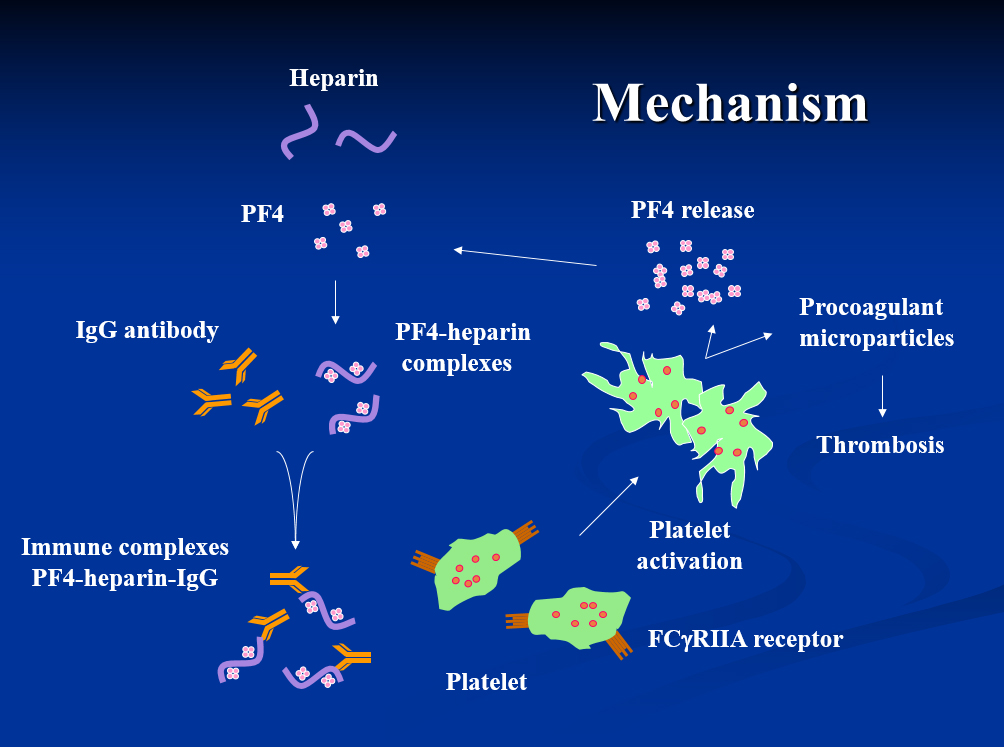 HIT mechanism