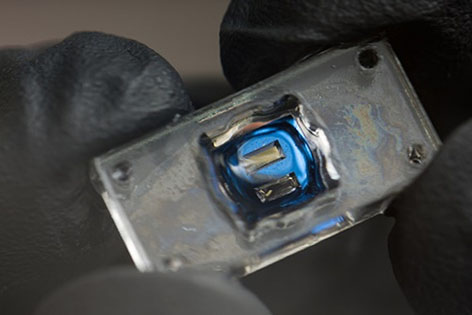 Microchip