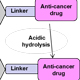 Proteasomal Regulation of Bone Cell Function