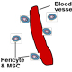 Bone targeting approach for bone cancers