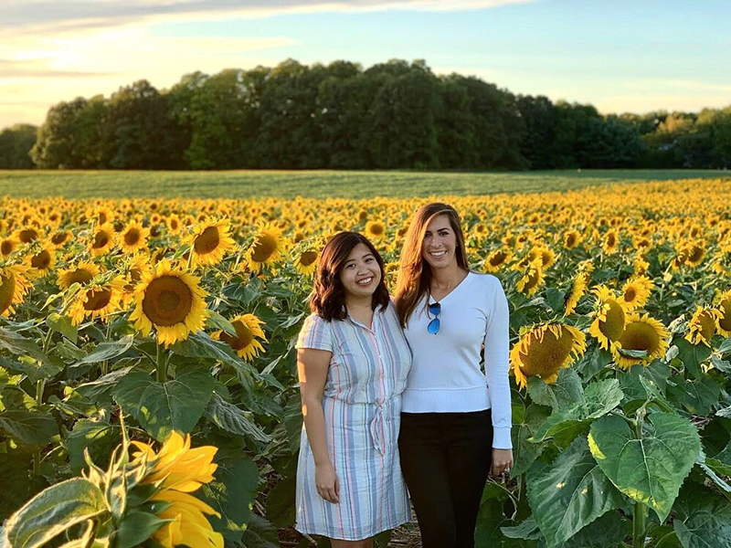 Time off - sunflower field