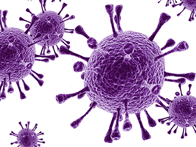 Image of virus