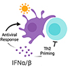 Type I interferon as a regulator of allergic inflammation