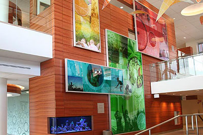 Golisano Children's Hospital Lobby Atrium