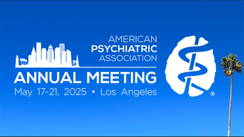 APA Annual Meeting banner on blue sky