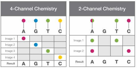 4-Channel versus 2-Channel Illumina Chemistry Image