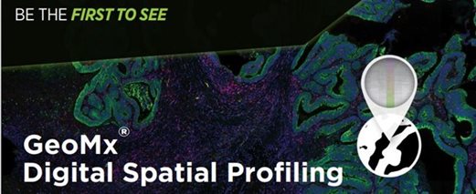 GeoMx Spatial Profiling fluorescent image