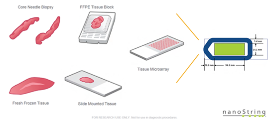NanoString GeoMx Tissue Types