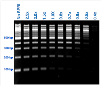 SPRI Library Selection Beads Gel Image by Ratio