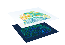 Immunofluroescent image with cell clusters overlayed from 10X Genomics