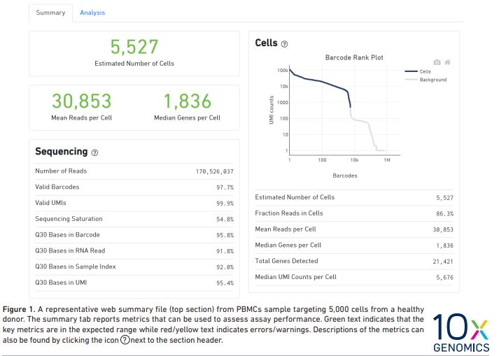 10X Genomics WebSummary Image