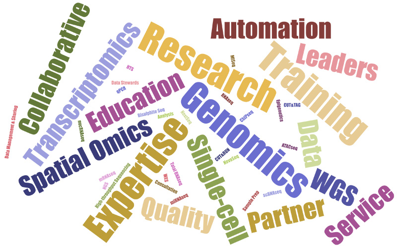 Wordcloud