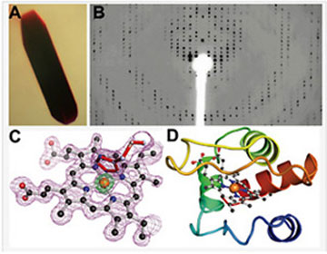 x ray diffraction