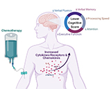 Cognitive Impairment