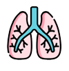 lungs