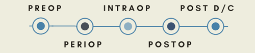 Five phases of surgical care: Preop, Periop, Intraop, Postop, Post D/C