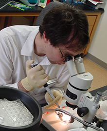 Paul working in the Palis lab.