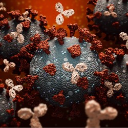UR CTSI-Supported Study: Immunity from Colds May Lead to Worse COVID Infection
