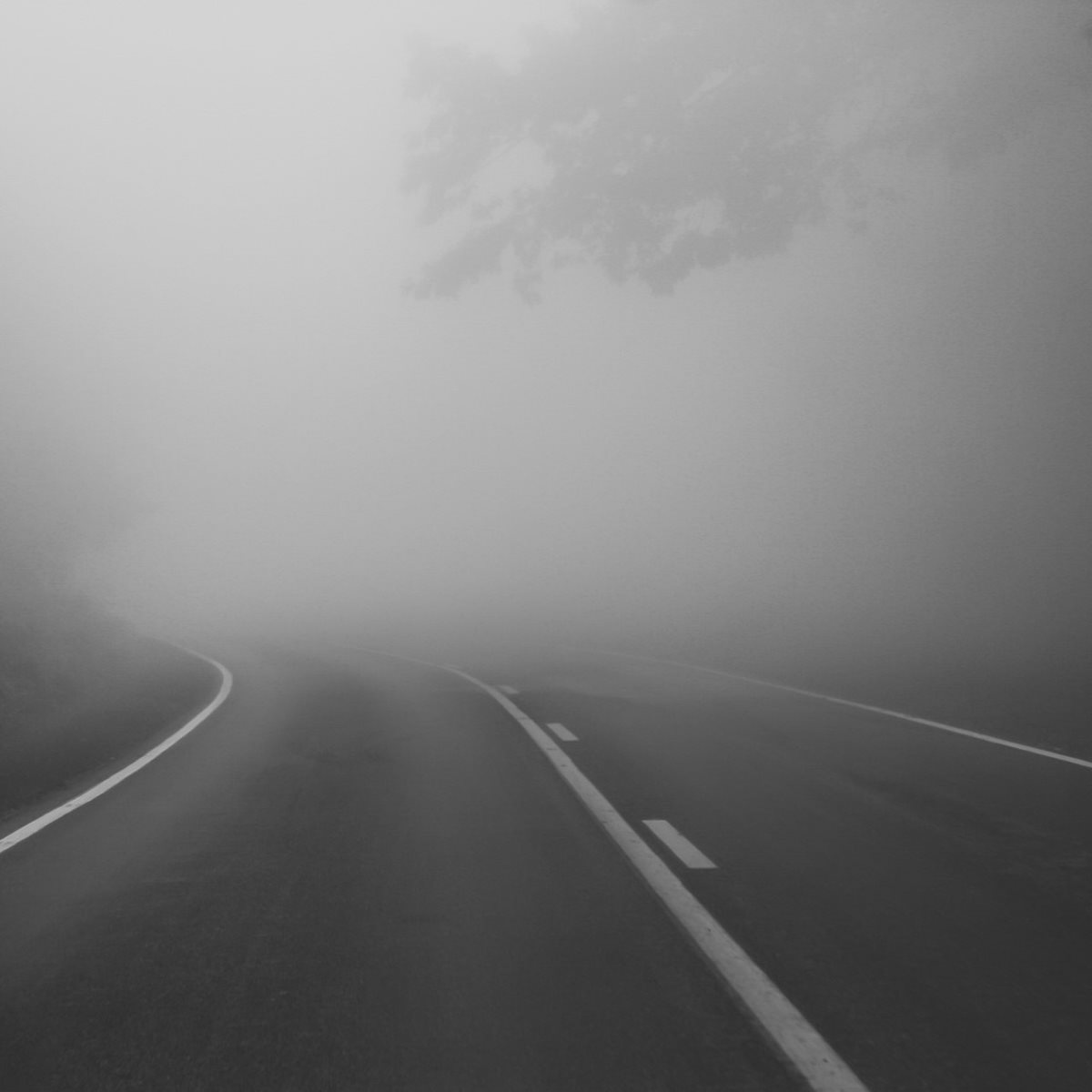 Mindful Practice: Community, Healing and the Long Journey of Medicine