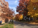 Mt. Vernon Ave. Partial Road Closure, Saturday 11/12/16