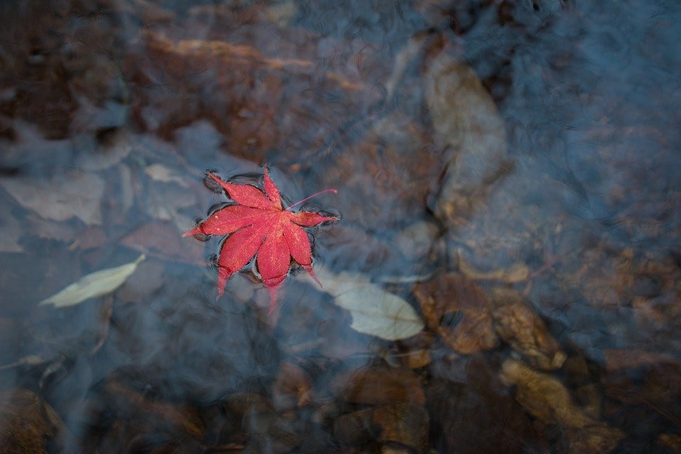 Emotions and Quicksand: Lessons from Acceptance and Commitment Therapy on Sitting with Difficult Feelings