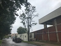 Tree Removal and New Trailer Installation