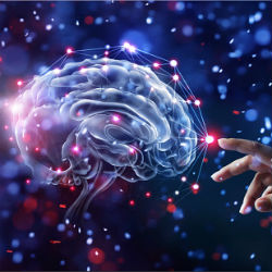 2018 Career Development Scholars to Study Movement Control, Suicide Prevention