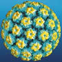 HPV Virus