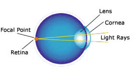 Normal vision - eye diagram